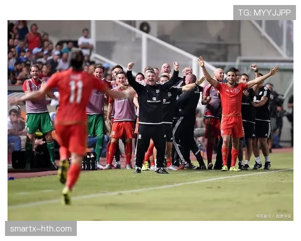 法国友谊赛表现 法国友谊赛表现